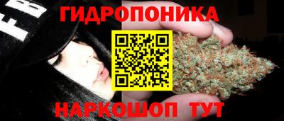 не бодяженный Гусиноозёрск