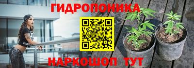 не бодяженный Гусиноозёрск