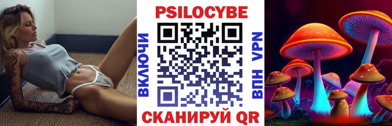 Псилоцибиновые грибы GOLDEN TEACHER  Гусев 