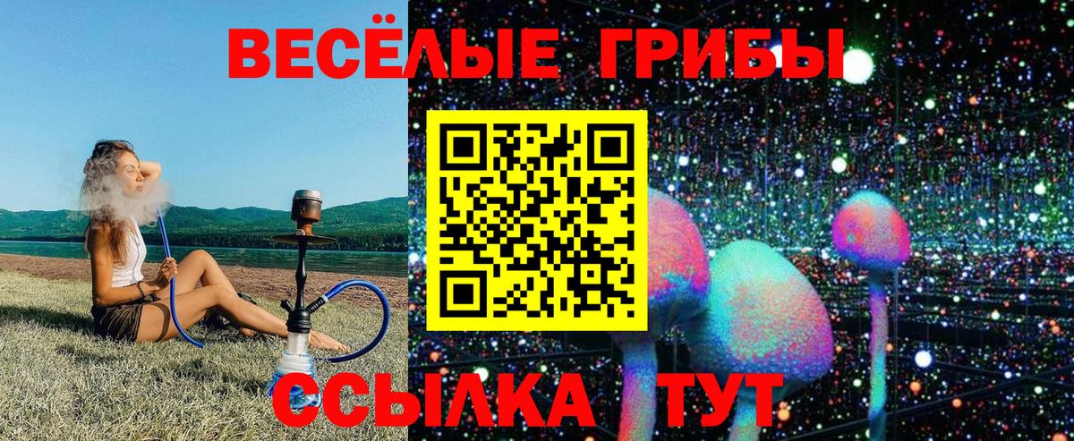 Галлюциногенные грибы прущие грибы Гусев