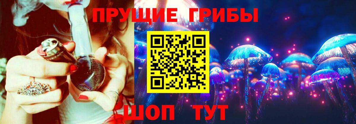 Гусев  Галлюциногенные грибы прущие грибы  цены   Галлюциногенные грибы ЛСД  Вход с VPN 