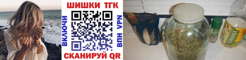 Конопля сатива Гусев