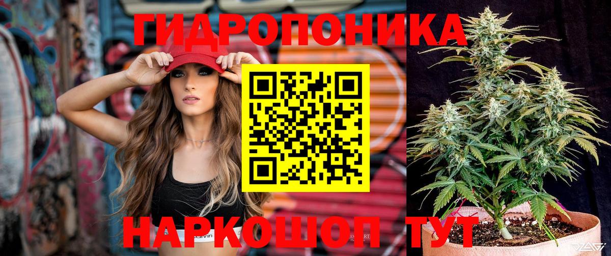 Бошки марихуана гибрид  Канабис сатива  Вход с VPN  Каннабис OG Kush  Гусев  Бошки марихуана семена 
